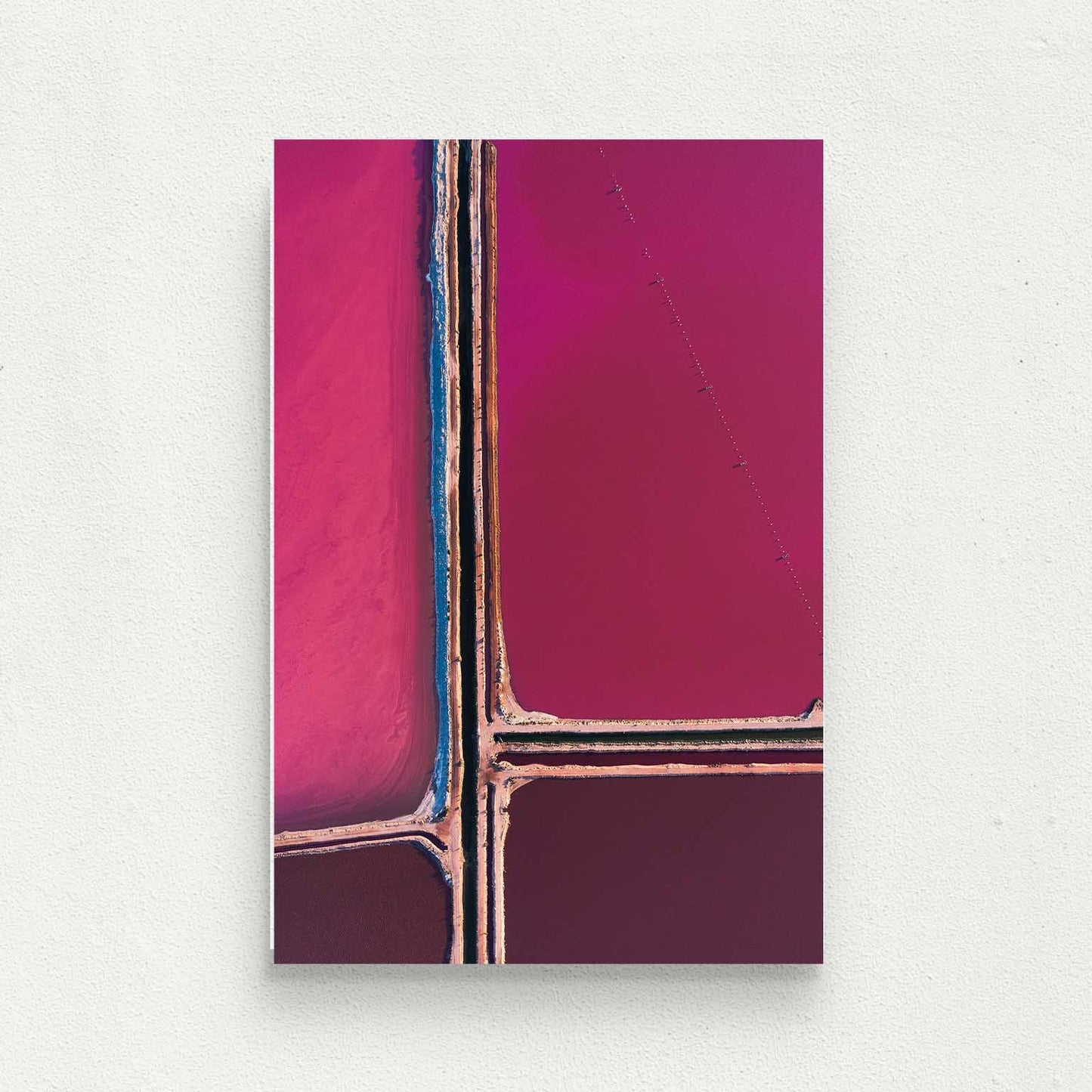 Pink Palette