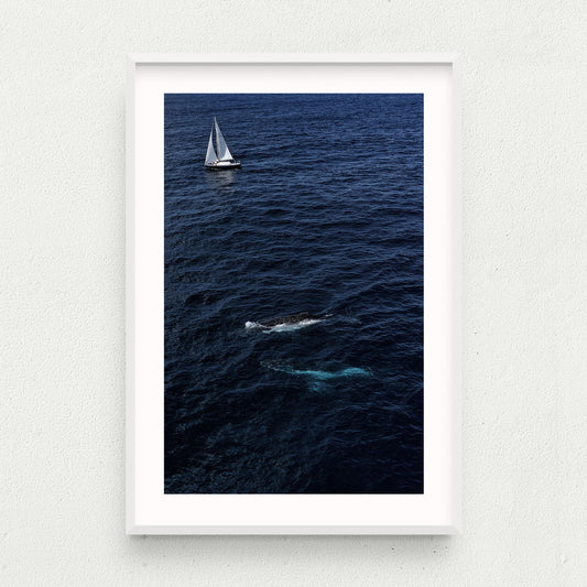 Sail Away