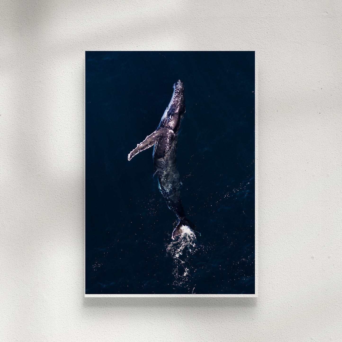 Archback Whale
