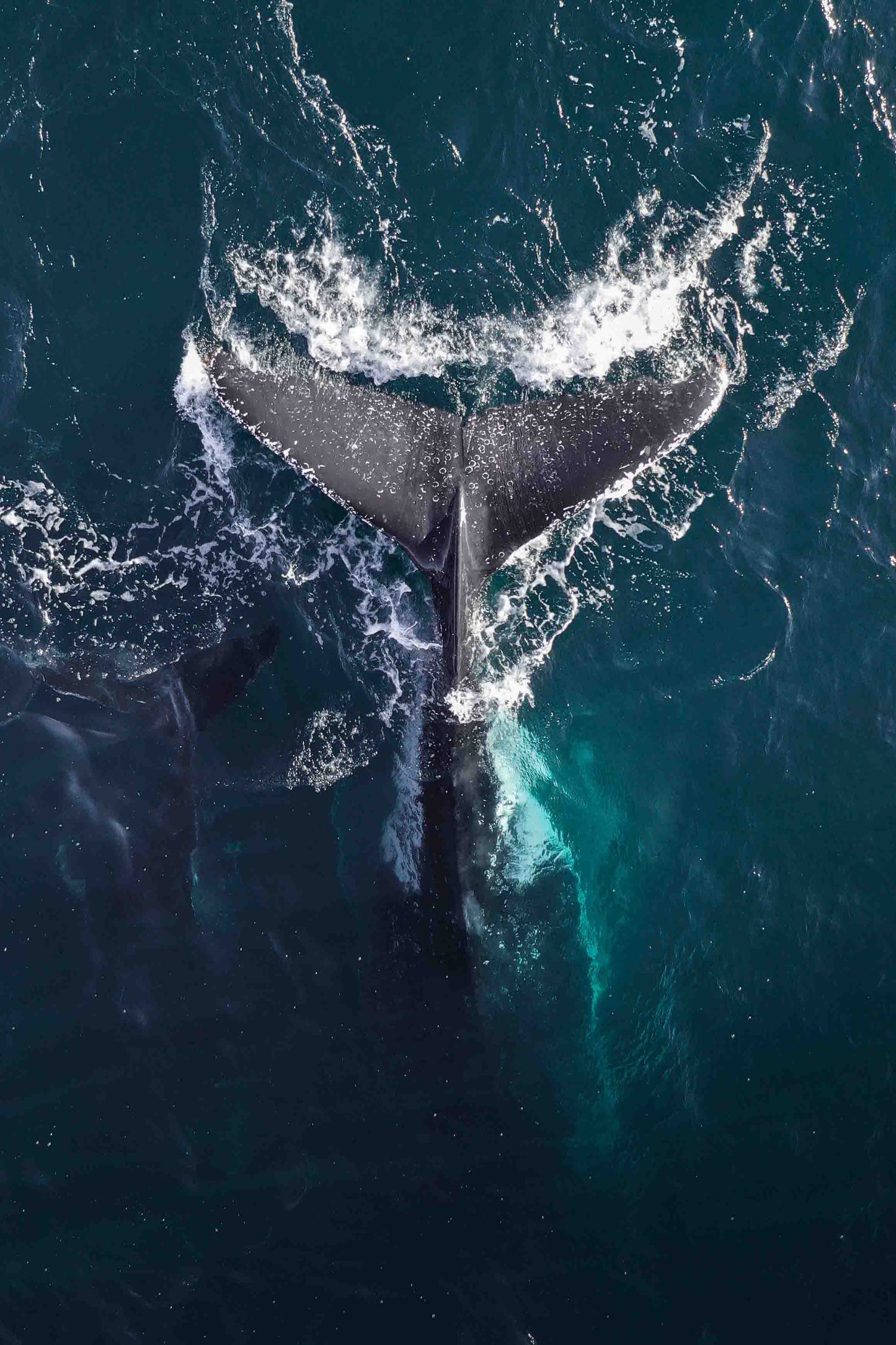 Big Momma