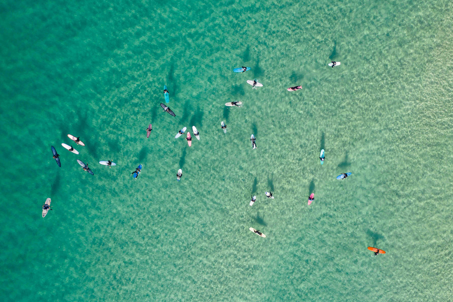 Surf School