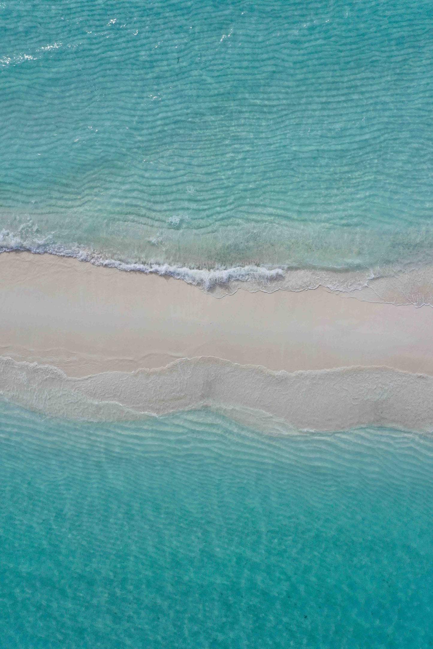 Pure Shores