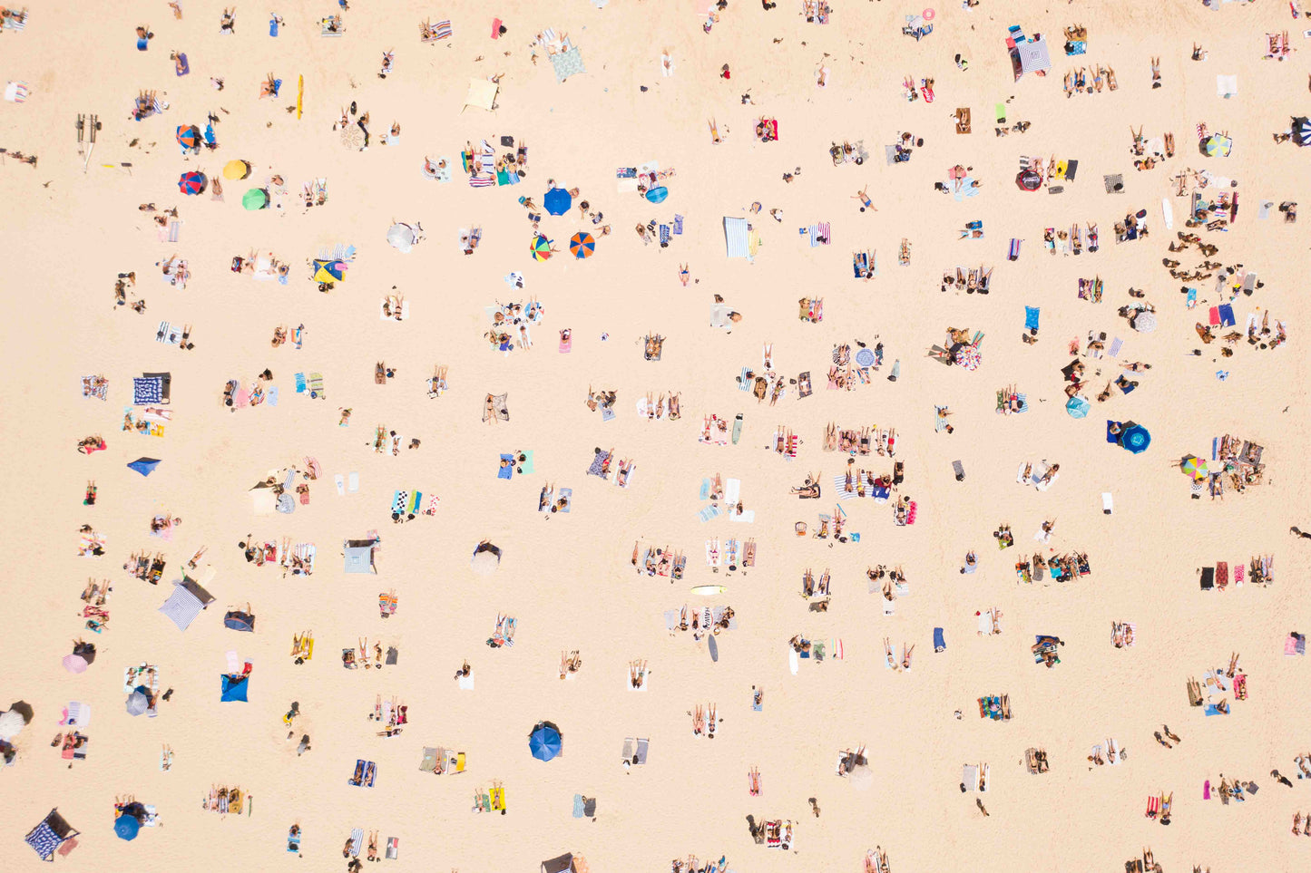 Where's Wally?