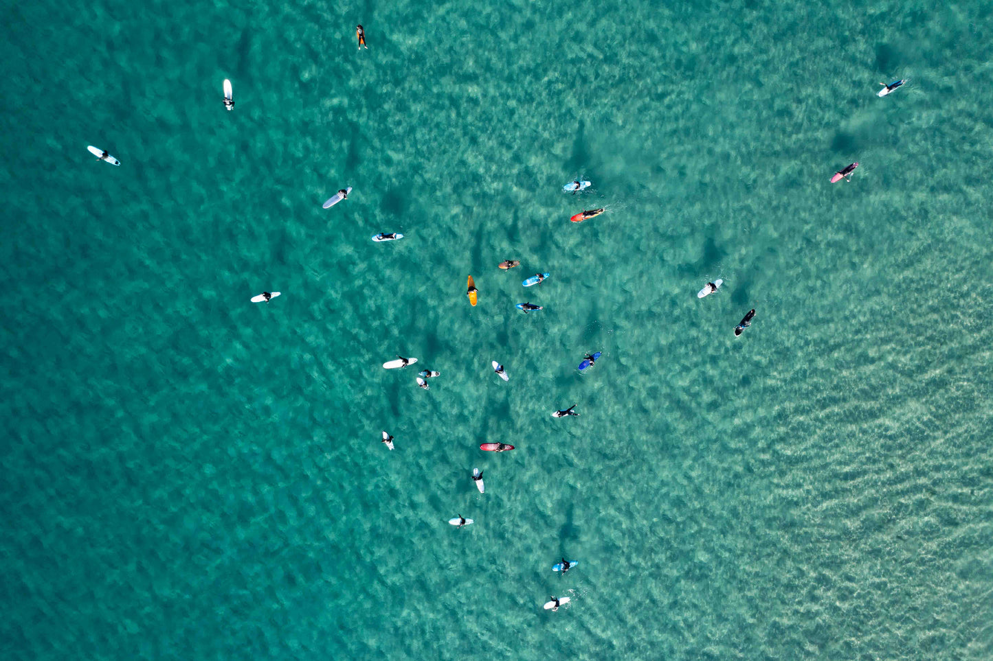 Colours of Bondi
