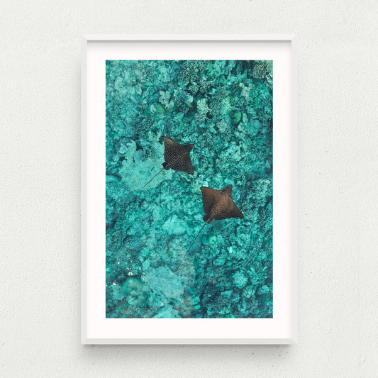 Float On