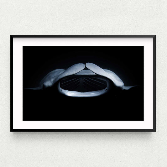 Midnight Manta