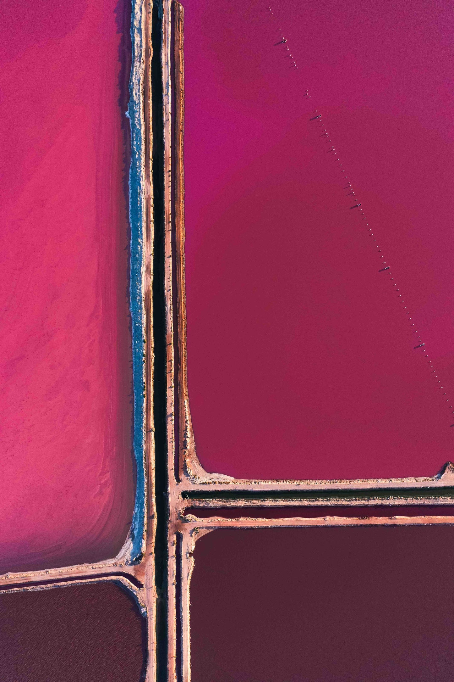 Pink Palette