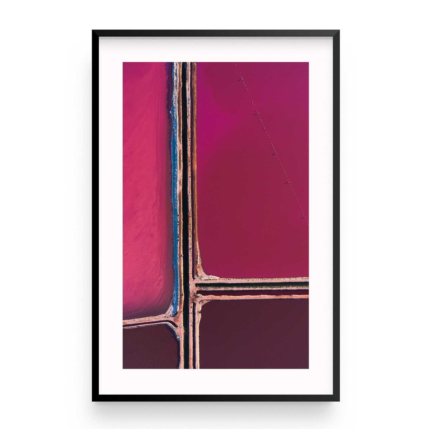 Pink Palette
