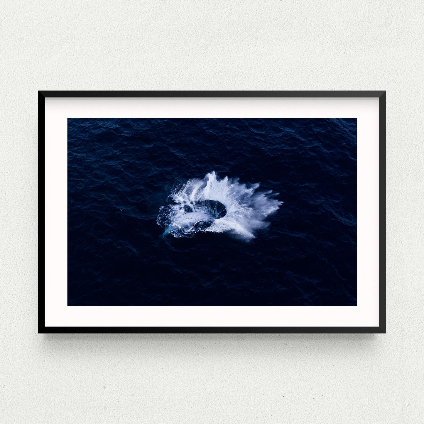 Whip Splash
