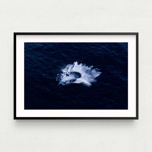 Whip Splash