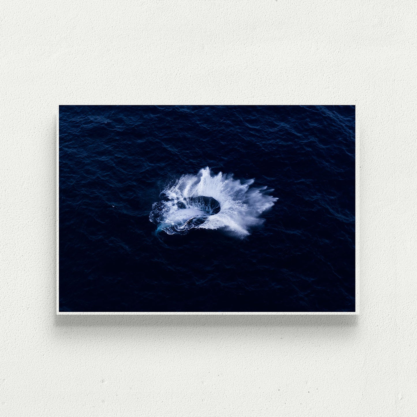 Whip Splash