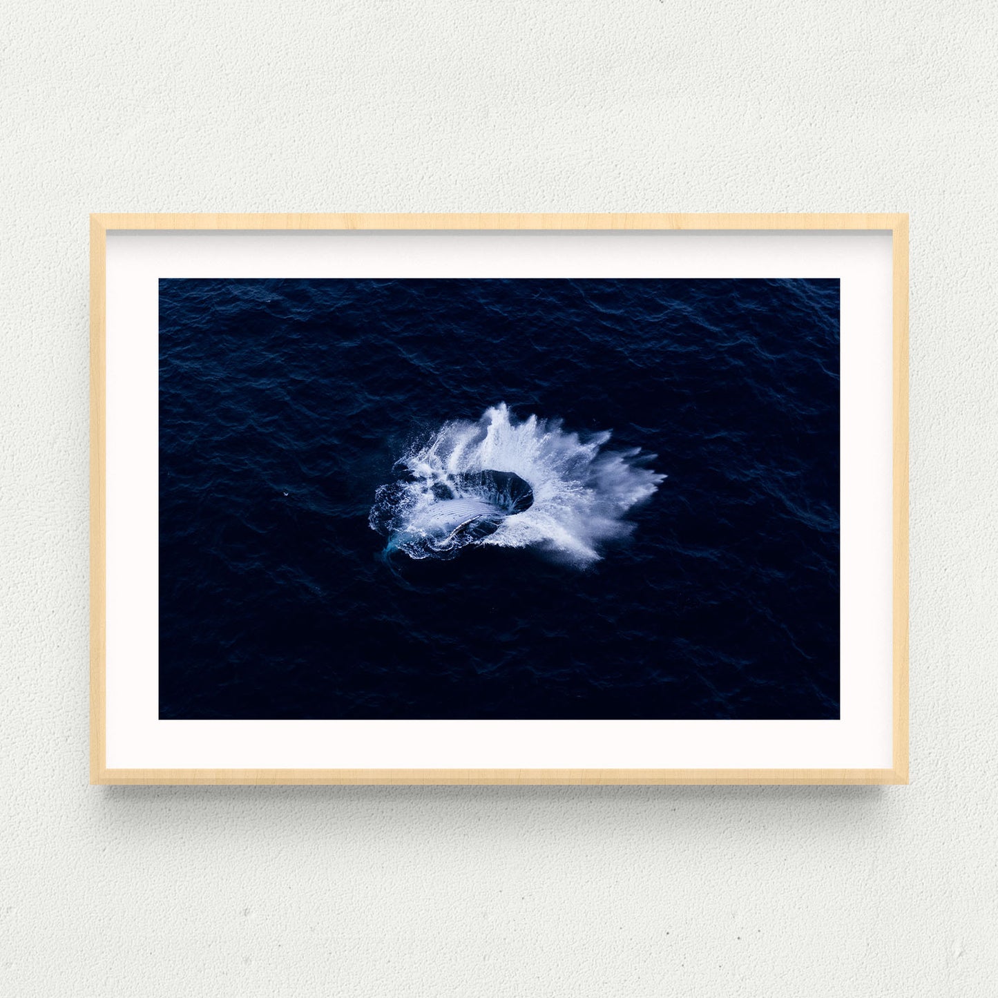 Whip Splash