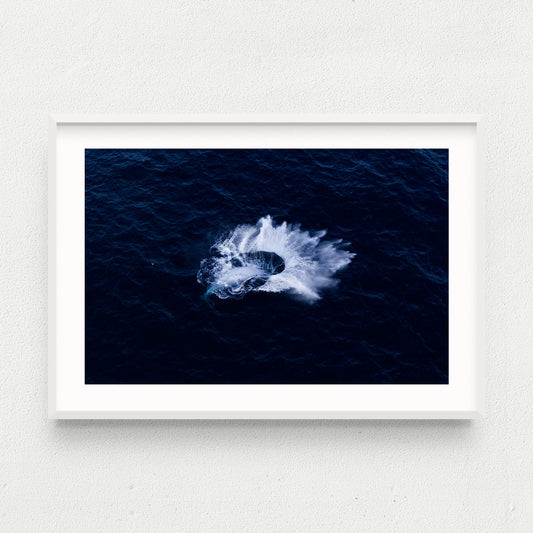 Whip Splash